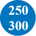 250x300